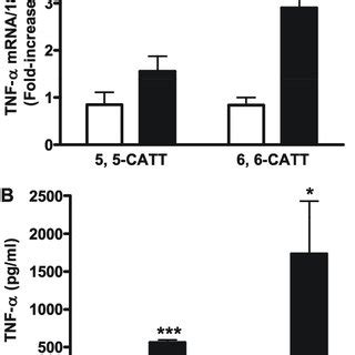 Tumor Necrosis Factor TNF A MRNA Expression And Protein Production