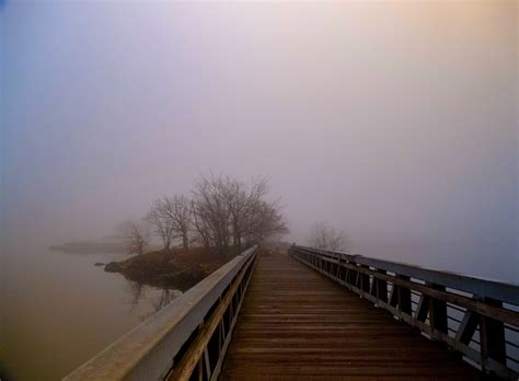 UNSEEN BEAUTY OF NY on Behance