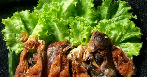 Resep Ikan Patin Goreng Oleh Citra Risa Septiani Cookpad