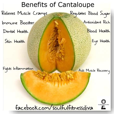 How Many Calories In A Slice Of Cantaloupe Gunner Well Massey