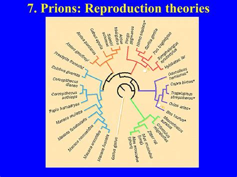 PPT BIODIVERSITY I BIOL 1051 What Are Viruses PowerPoint