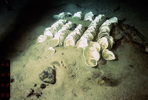 A Debris Of Dishes Found On The Wreck Of The Titanic 1985 2560 X