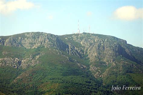 Serra Do Marão Aves De Portugal