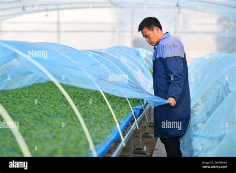 Changsha China S Hunan Province St Dec A Villager Applies