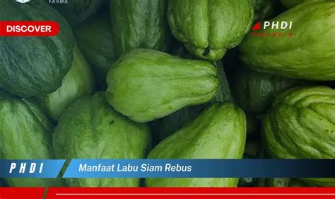 Ketahui Manfaat Labu Siam Rebus Yang Bikin Kamu Penasaran