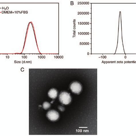 Characterization Of Core Shell Type Thermo Nanoparticles Co Loaded With