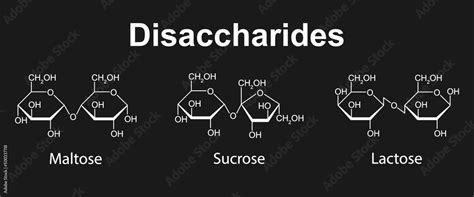 Chemical Illustration Of Disaccharides Maltose Sucrose And Lactose