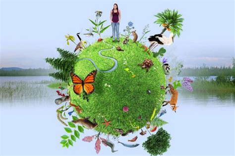 Un Mooc pour mieux comprendre la biodiversité et apprendre à la