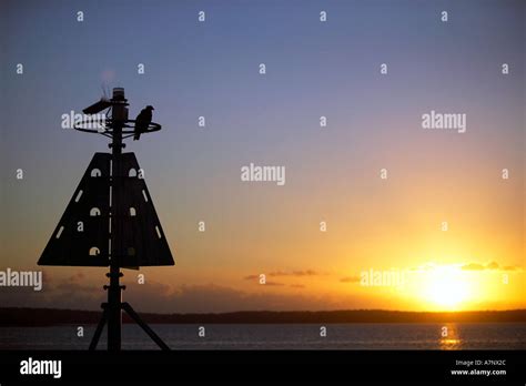 Hervey Bay Tourism Queensland Australia Stock Photo Alamy