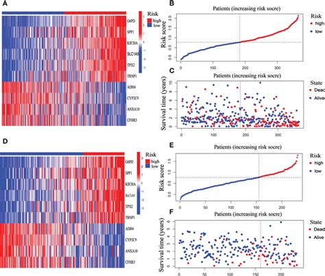 Prognostic Characteristic Of The Ten Gene Signature Model In The TCGA