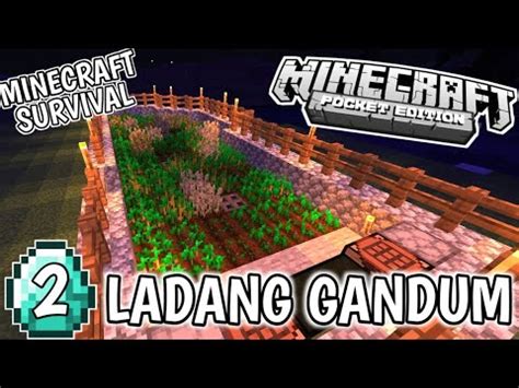 Saatnya Membuat Pertanian Minecraft Indonesia Youtube