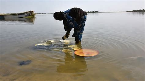 Por Qu El Lago Chad Ha Perdido M S Del De Su Superficie En Cuatro