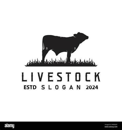 Livestock Logo Fram Garden Design Cow Logo Vector Badge Longhorn Bull