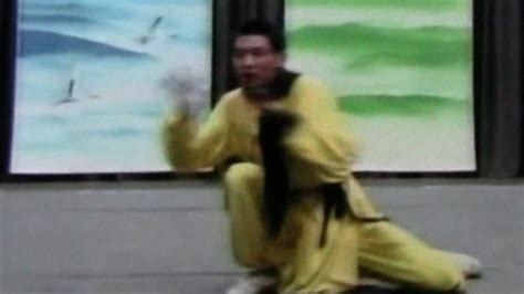 Fighting Styles: Kung Fu Fighting Styles