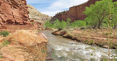 Fremont River Trail: Hiking in Capitol Reef National Park | 10Adventures