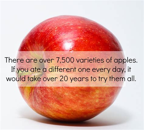Stolen Material - What's your favorite type of apple?