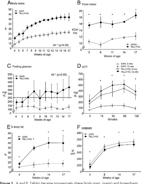 Figure 1 From Early Onset Type 2 Diabetes Impairs Skeletal Acquisition