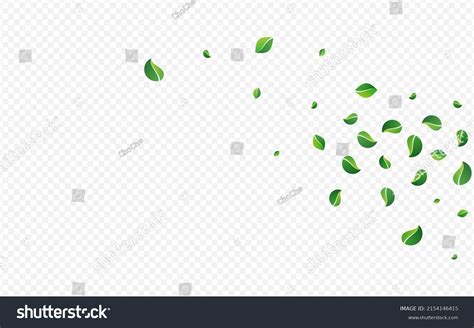 Swamp Leaves Transparent Vector Transparent Background Stock Vector