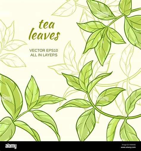 tea leaves background Stock Vector Image & Art - Alamy