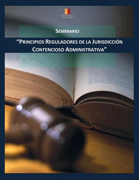 Pdf Principios Reguladores De La Jurisdicci N Como Principios Del