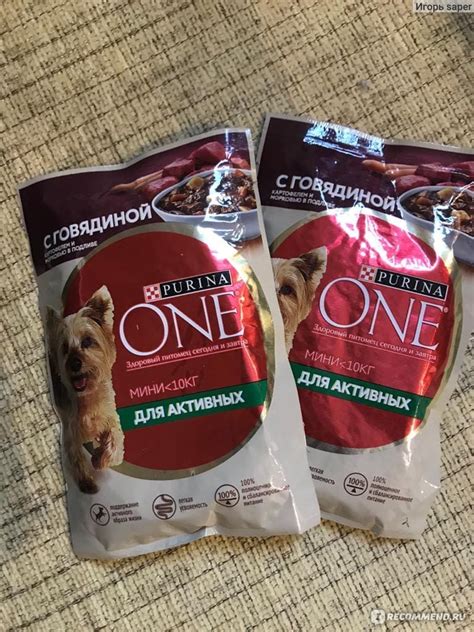 Корм для собак Purina One Мини Активная - «Кто за, тот мы!» | отзывы