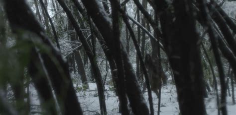 Nude Video Celebs Lauryn Canny Sexy Darlin