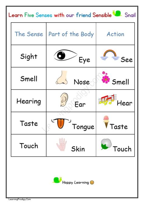 Free Printable Senses Organ Chart For Preschoolers | Nursery Kids ...