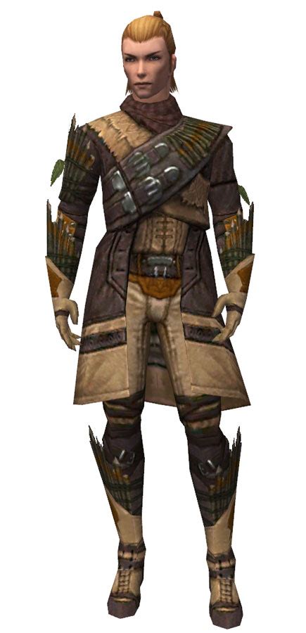 Ranger Elite Druid Armor Guild Wars Wiki GWW