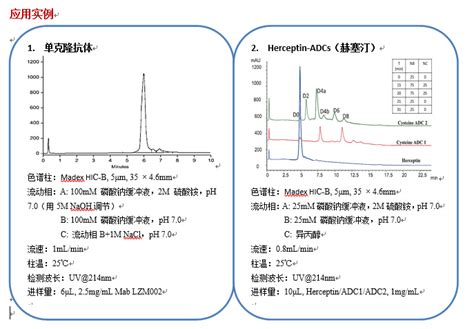 菲罗门 Madex系列离子交换色谱柱 广州菲罗门科学仪器有限公司