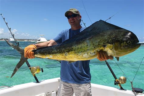 Mahi Mahi fishing charter in Punta Cana. Boat Sherlock 39'