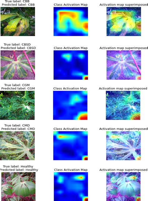 Class Activation Maps Cam The First Second Third Fourth And