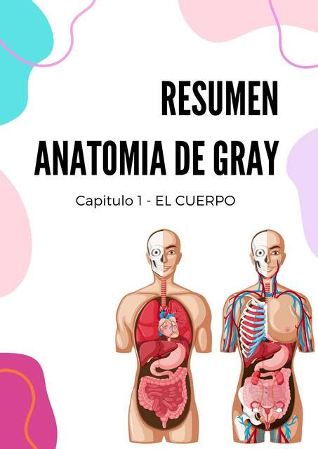 Resumen Capitulo Gray S Anatomy For Students Tiroxina Med Udocz