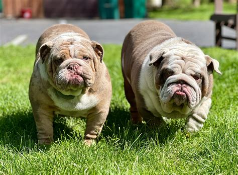 Iris Farms - Iris Farms added a new photo.