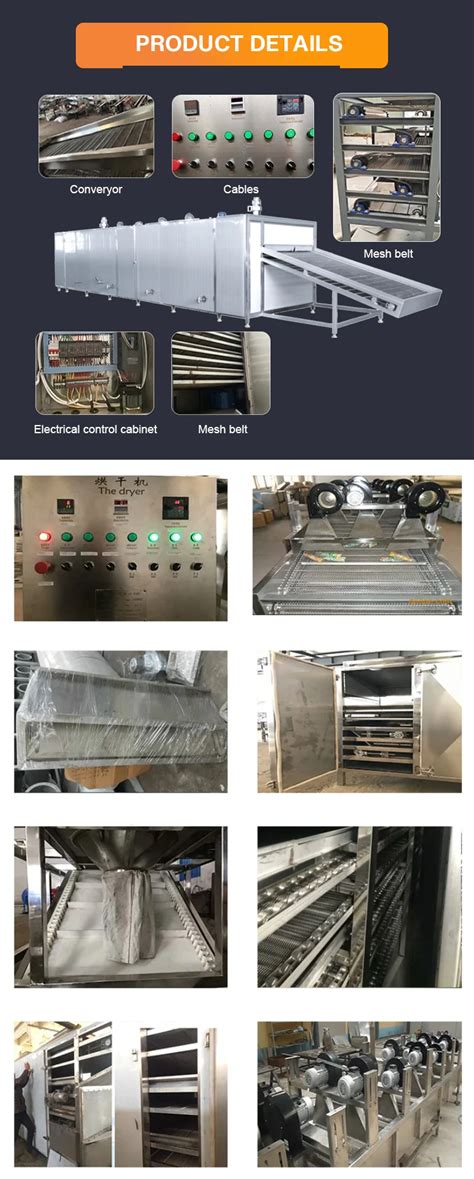 Hot Air Tunnel Conveyor Mesh Belt Dryer Machine Multi Function Dryer With Large Processing