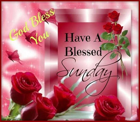 happy sunday wallpapers top  happy sunday backgrounds