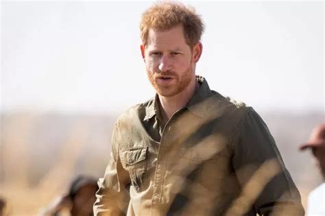 Prince Harry planning Africa documentary WITHOUT Meghan Markle as he ...