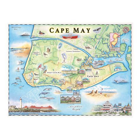 Cape May Hand-Drawn Map | Xplorer Maps