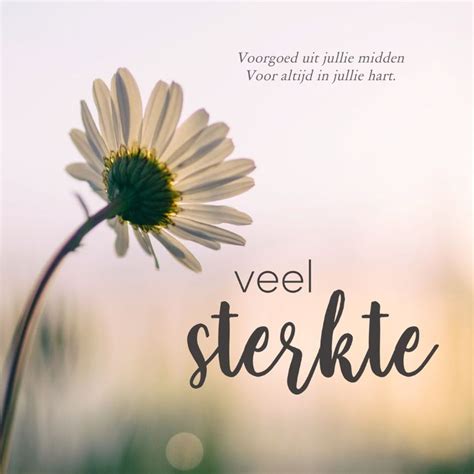 Condoleance Foto Bloem Veel Sterkte