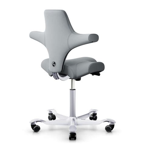 HÅg Capisco 8106 Ergonomic Chair With Footring Buy In Singapore