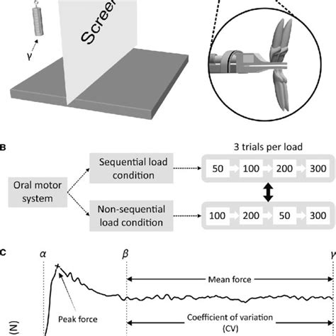 Bar Charts Showing The Peak Force A Peak Force Rate B Holding