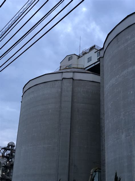 Nasty Atmosphere Micro Bikini String Swimsuit Squatting On The Ground Thighs Open Happy