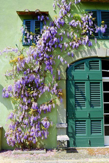 10 Floral Garden Gates In Bold Color Artofit