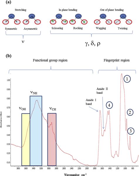 A Vibrational Modes Stretching And Bending B Identification Of Download Scientific