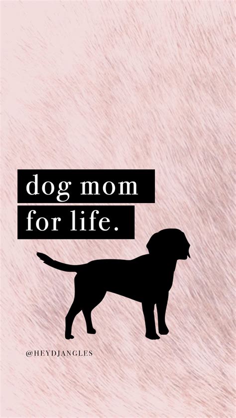 Dog Quotes Wallpapers - Wallpaper Cave