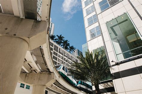 Miami Architecture By Stocksy Contributor Stephen Morris Stocksy