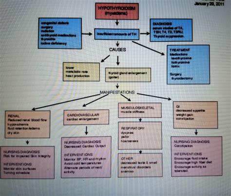 Concept Map For Hypertension