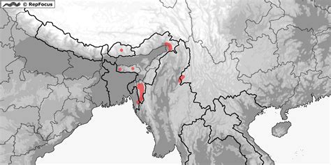 Distribution Of Smithophis Repfocus