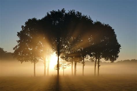 Free Images Landscape Tree Nature Horizon Silhouette Light