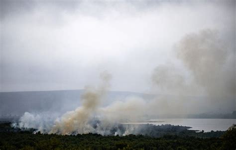 Incendie En Bretagne Dans Les Monts Darrée Il Faudra Un An Pour