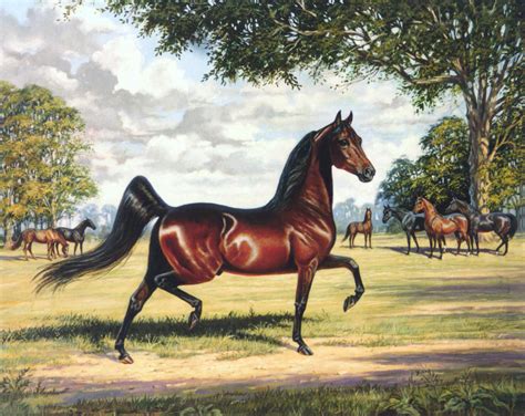 Morgan Horse Painting At Explore Collection Of